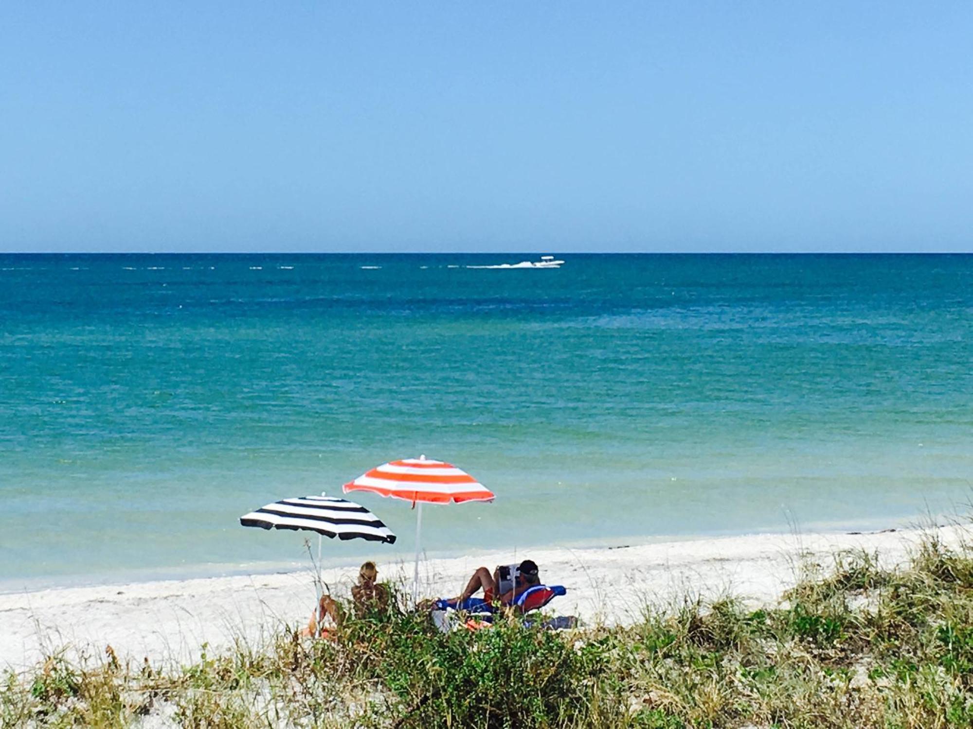 Tropical Indian Rocks B Clearwater Beach